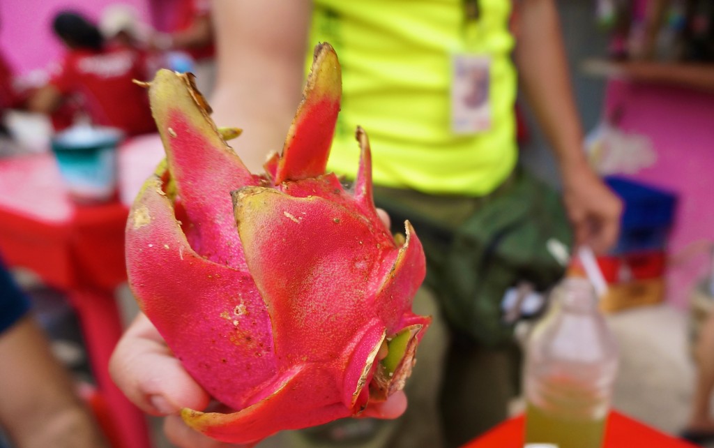dragonfruit mexico tulum