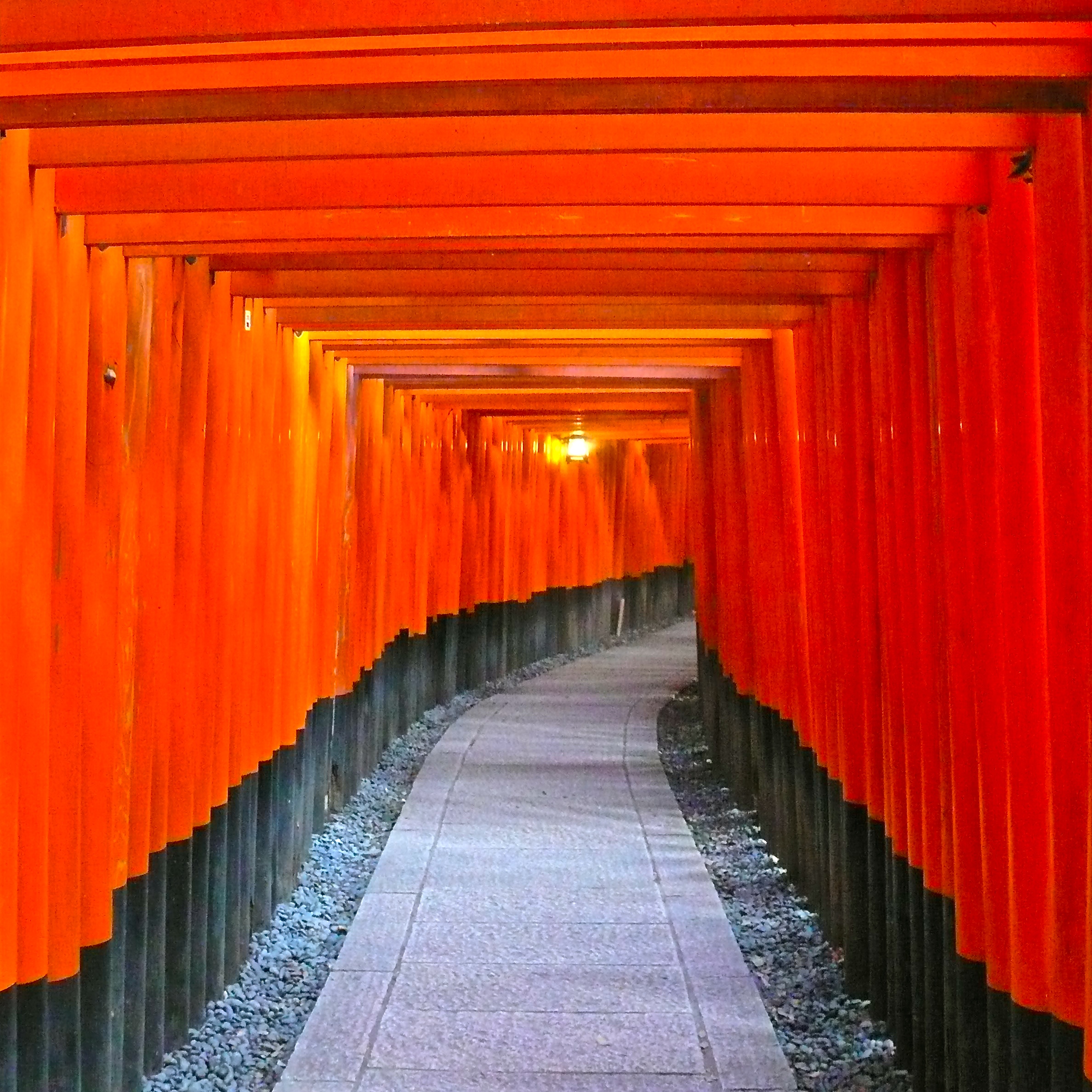 Fushimi Inari Taisha Torii OMAMORI Charm Amulet Red Kyoto Japan 