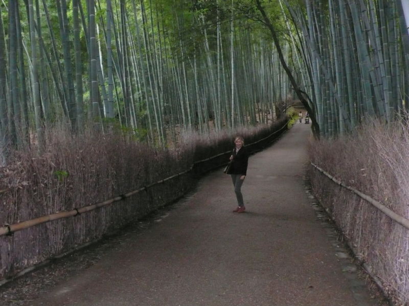 Japanese tourist attraction arashiyama kyoto bamboo forest