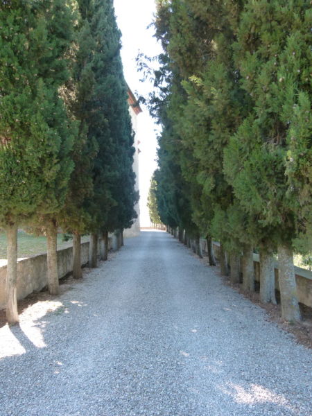 cypress trees on drive Sant'Anna in Camprena Pienza Tuscany