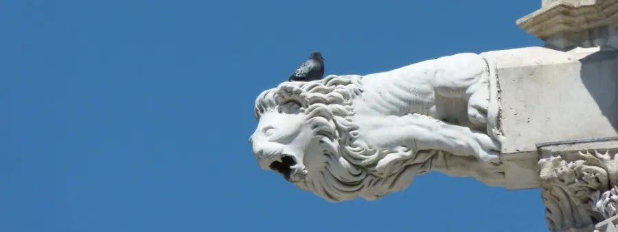 shopping siena tuscany italy souvenirs contrada lion gargoyle