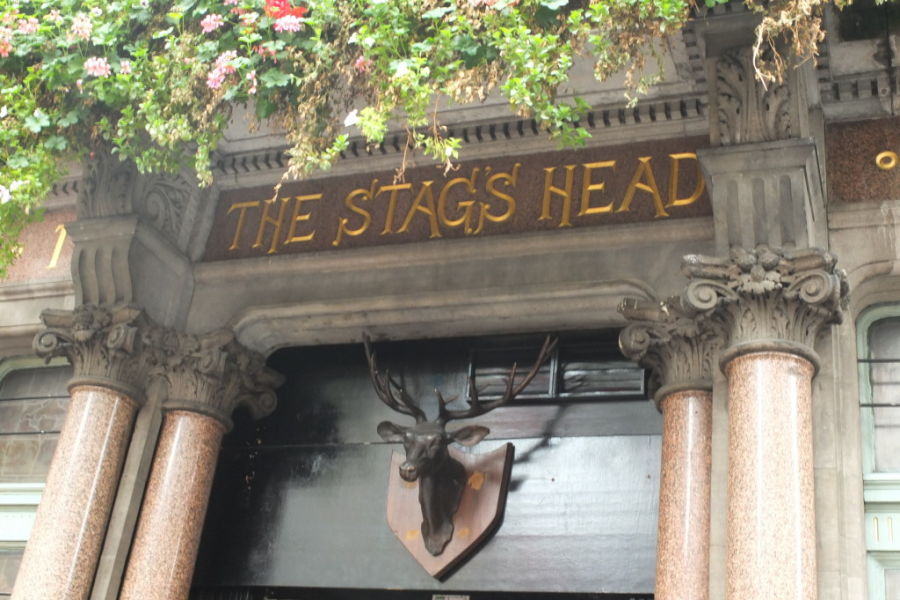 stags head temple bar dublin ireland 