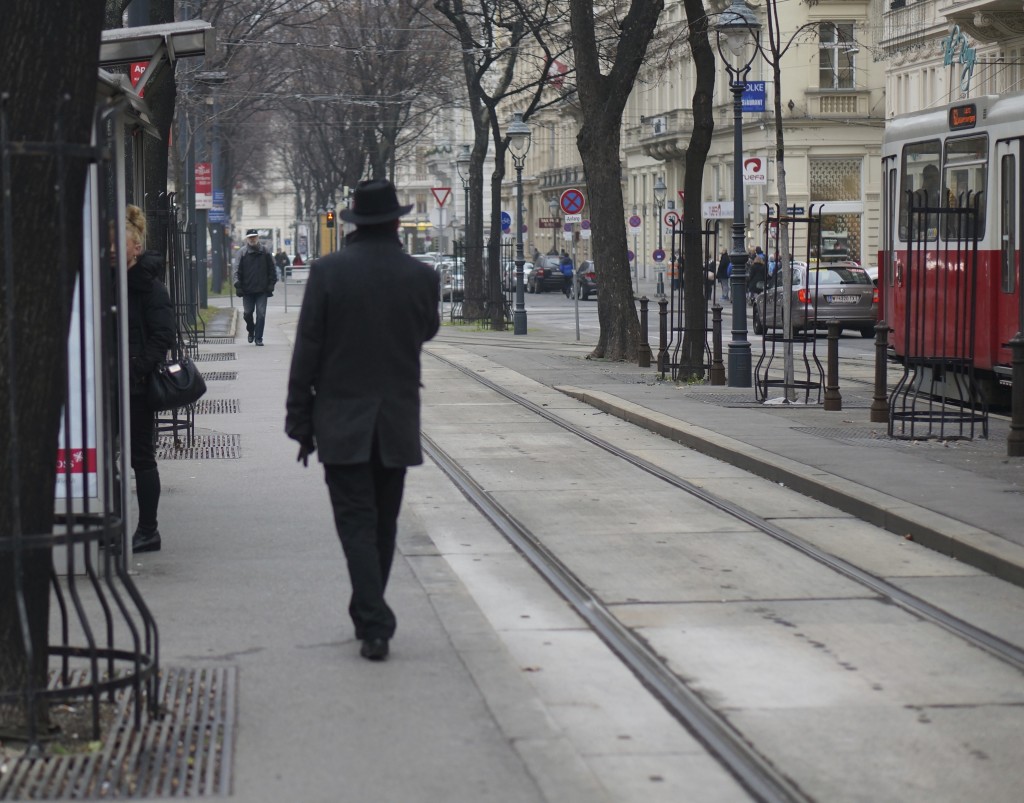 vienna street scene