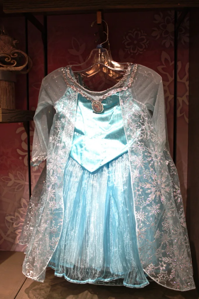 Elsa costume dress Frozen disney world