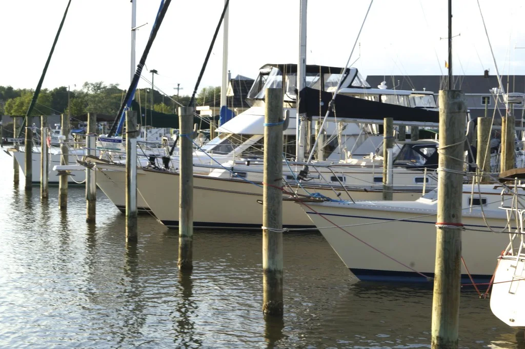 sailboats in marina chesapeake bay rock hall maryland