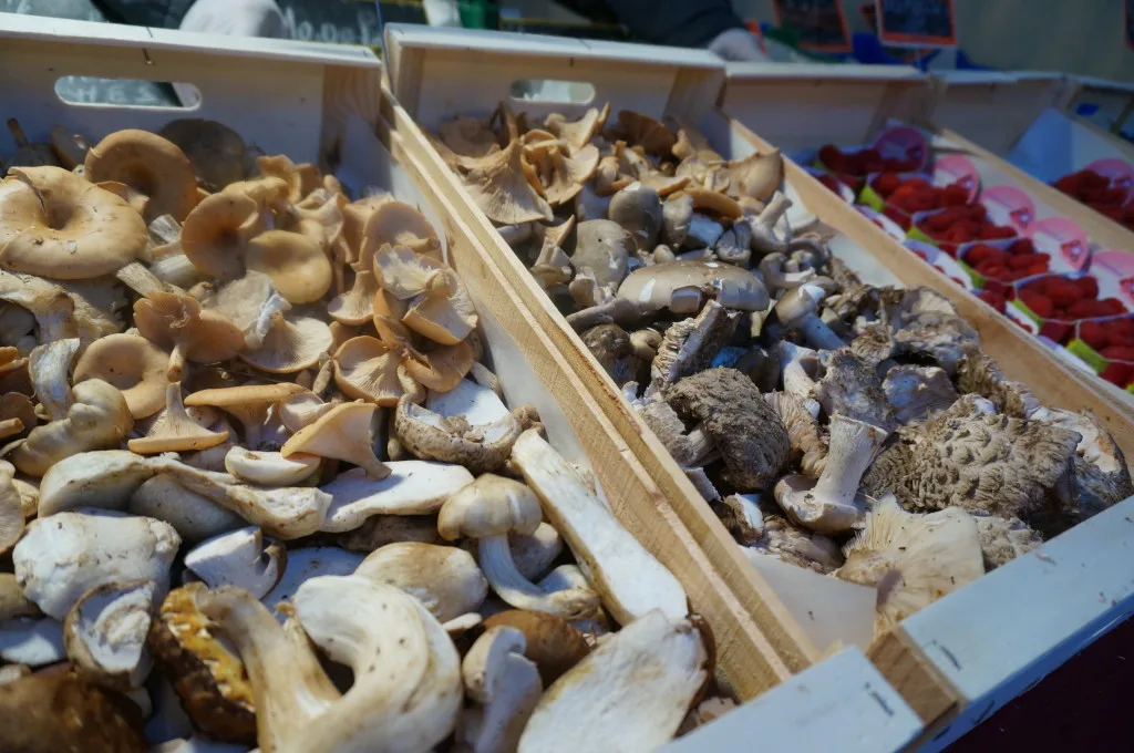 Belgium wild mushrooms forest chatelain market vendor