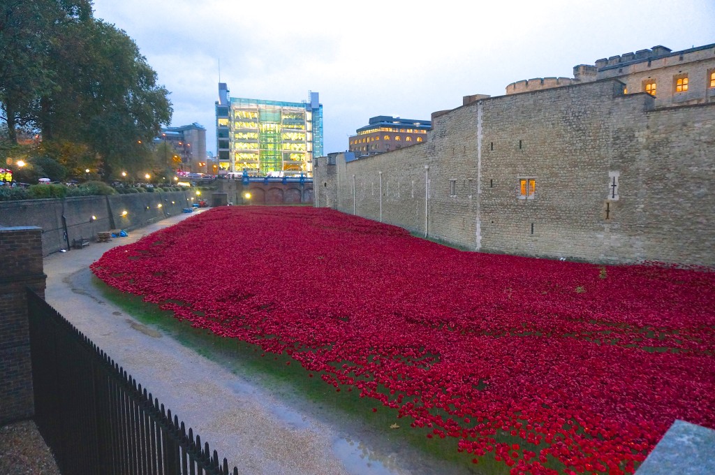 poppy photos tower of london completion red sea blood