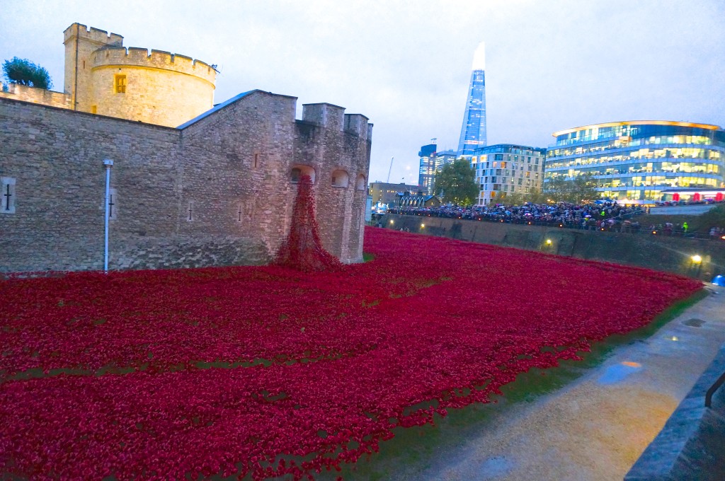 red poppy completion tower london final