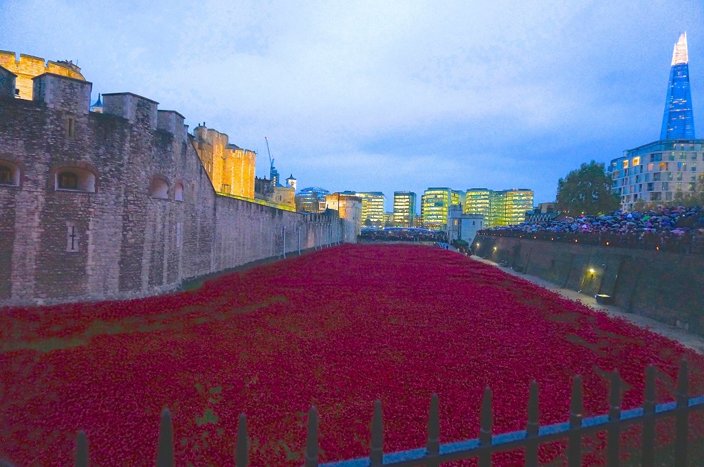 Final poppy installtion completion tower of london