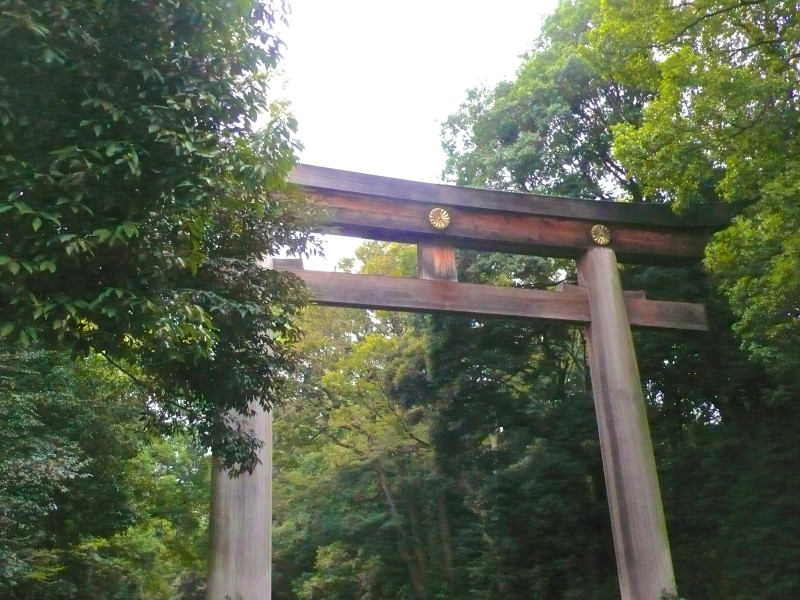 Wood tori gates at Meiji