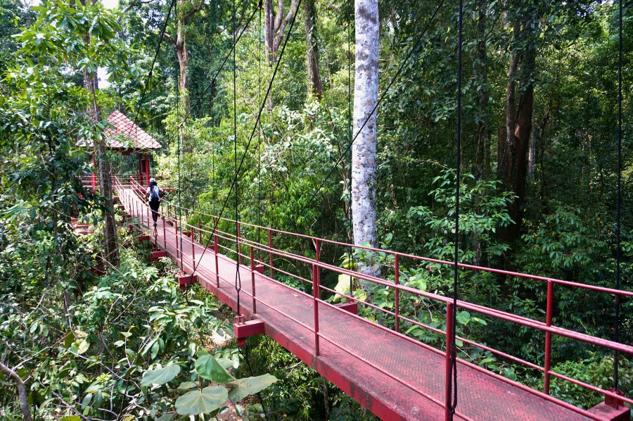 Trang Thailand botanical garden bridge