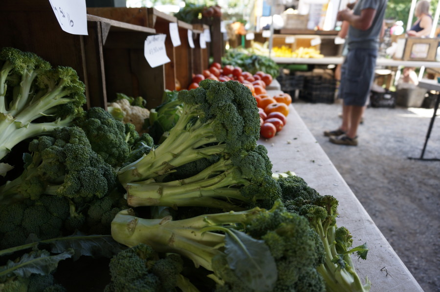 saratoga springs farmers market produce vegetables broccoli new york