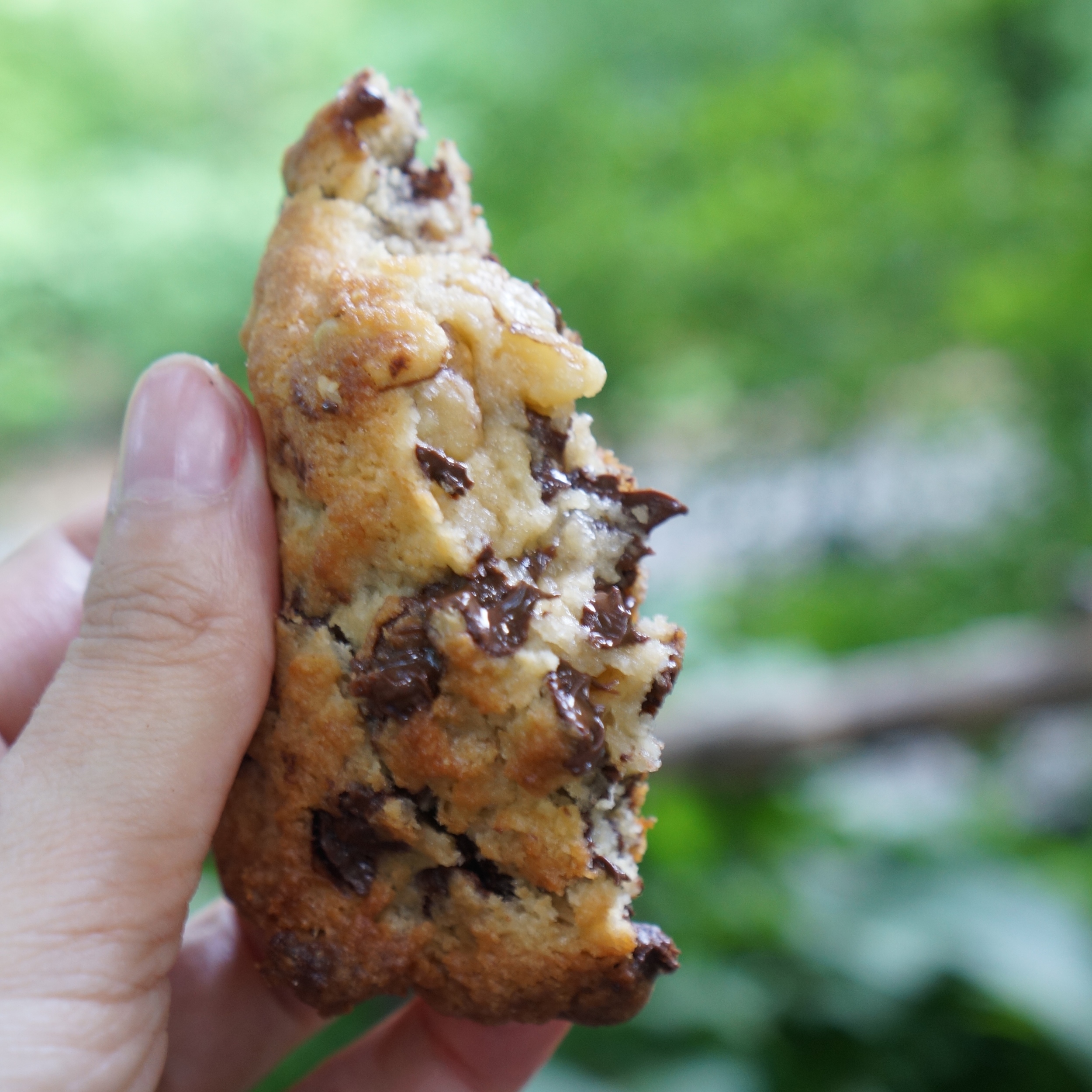 Levain Bakery: the Best Cookies in New York City (and maybe the World)