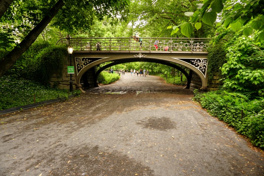 bridge #24 bridle path central park