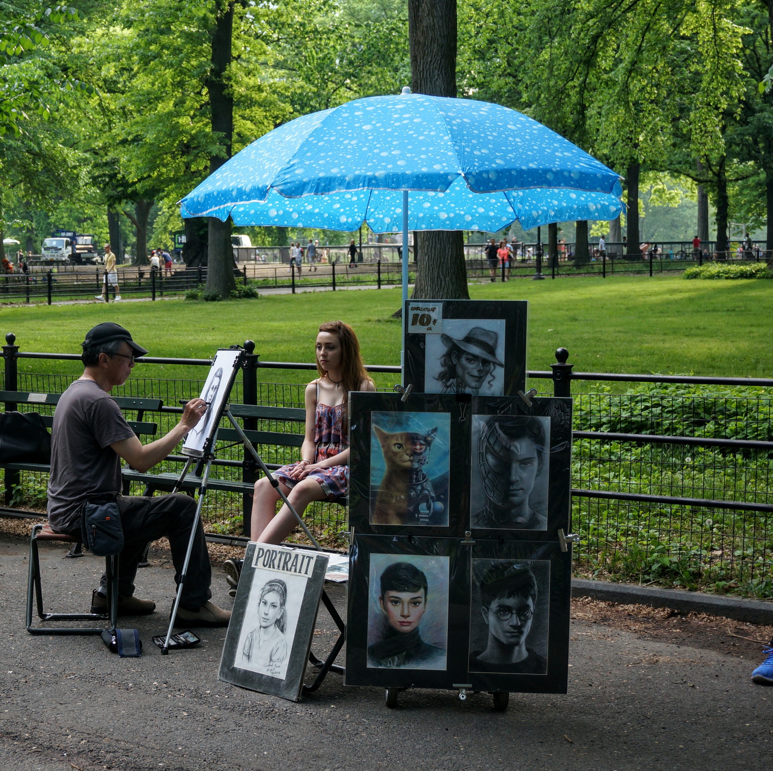 Where to Play in Central Park a Local's Guide Souvenir Finder