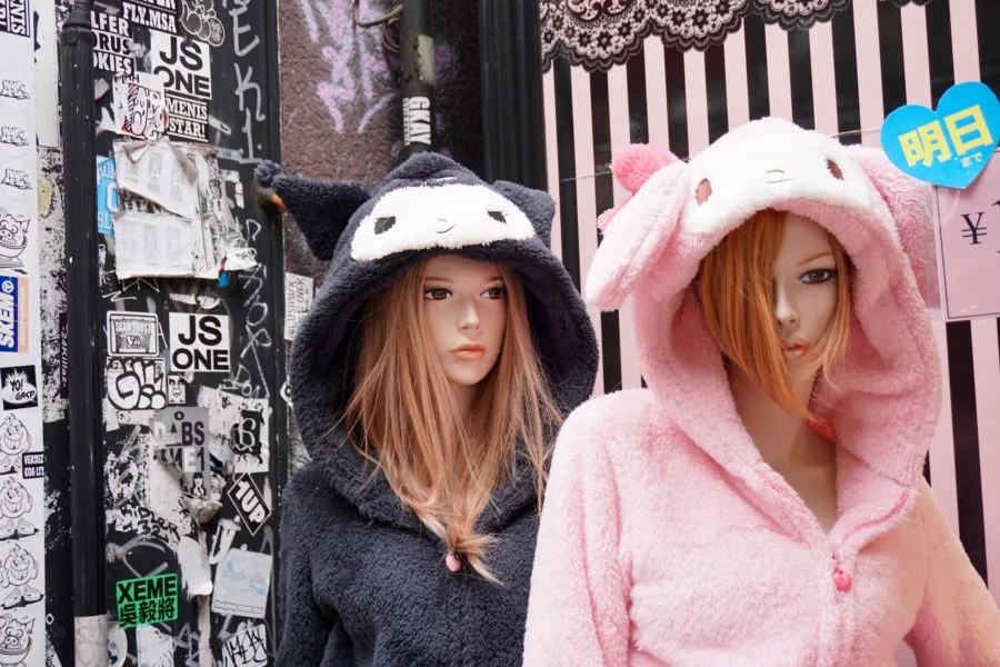animal hoodies japanese fashion