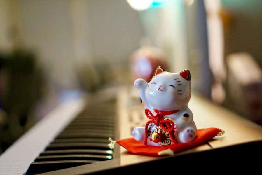 Japanese tradition Colour Lucky Cat wellcome manekineko fortune gift white 