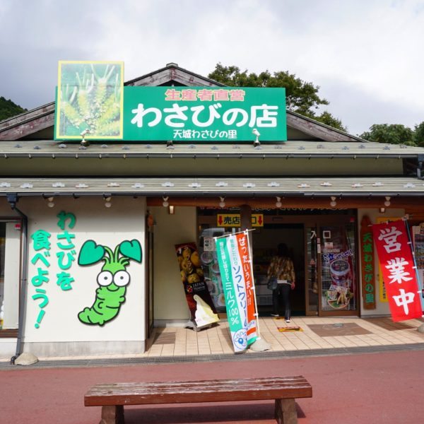 wasabi ice cream store japan
