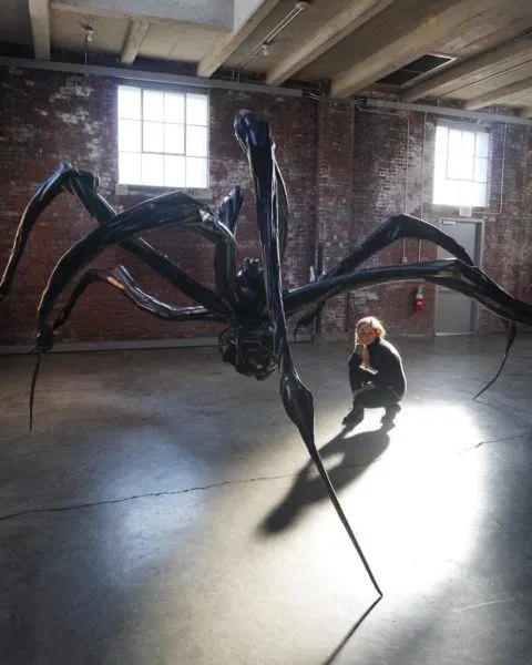 Lousie Bourgeois, Crouching Spider, 2003 (DIA Beacon).