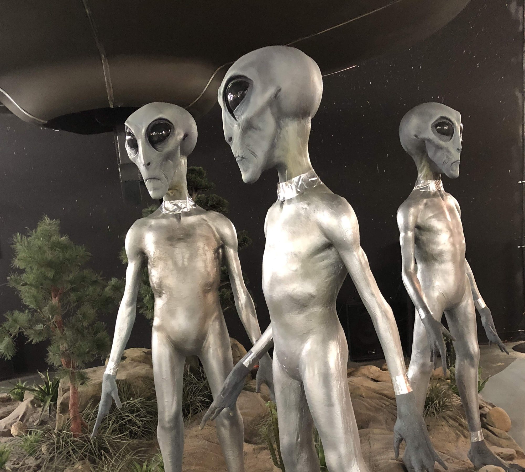 Bring an Alien Home from Roswell, New Mexico