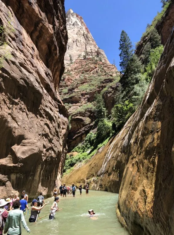 Crowded narrows slot canyon hike best hikes zion national park summer