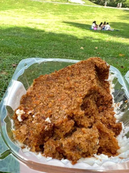 moist carrot cake nyc lloyd's best souvenir