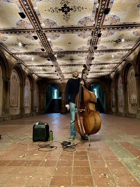 The Magic, Music and Romance of Central Park at Bethesda Terrace - Souvenir  Finder