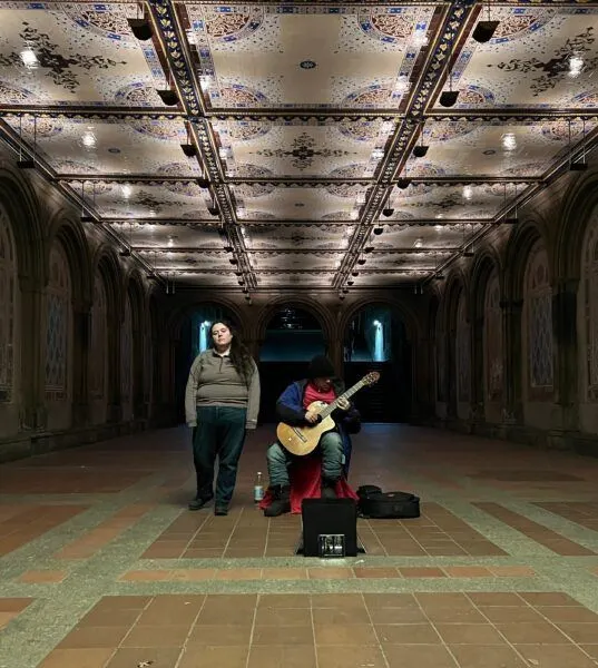 Bethesda Arcade in Central Park (2023)
