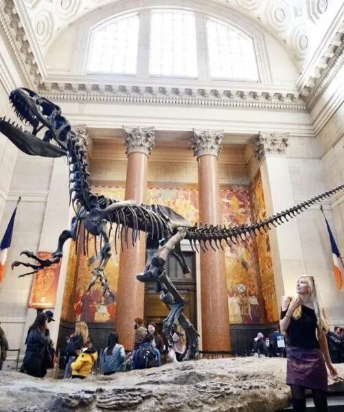 American museum natural history lobby kristin view